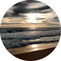 vinayak sankar profile picture